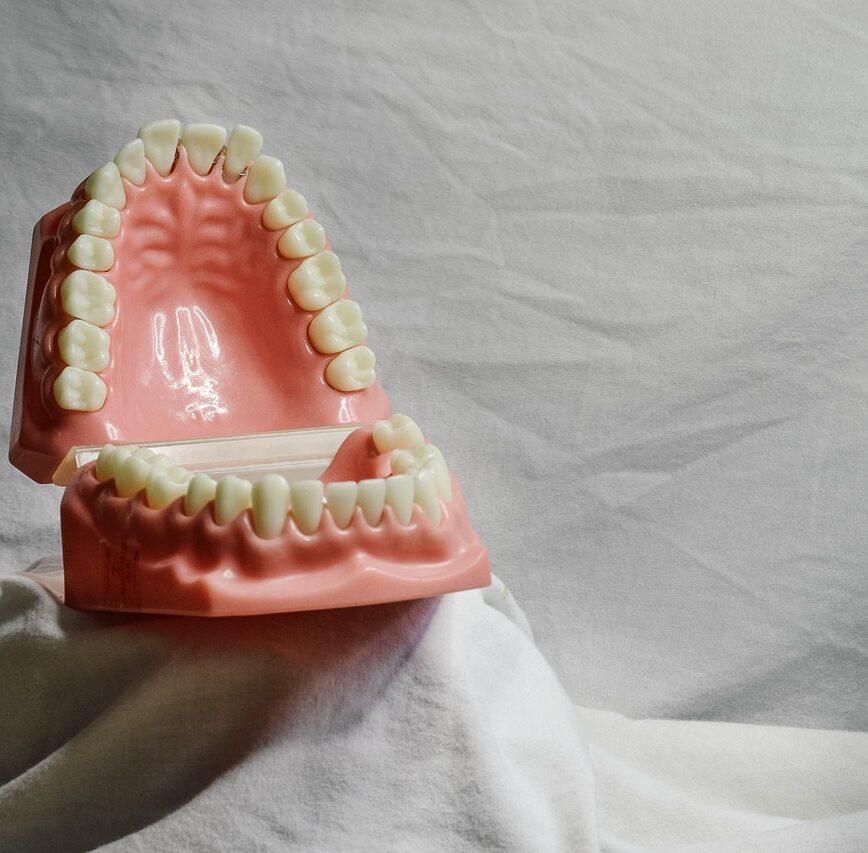 teeth, dental, dental model, mouth, model, dental training tool, dentist, bite, dentistry, molar, teeth, teeth, dental, dental, dental, dental, dental, dental model, mouth, dentist, dentist, dentist, dentistry, dentistry, dentistry, dentistry, molar, molar, molar, molar